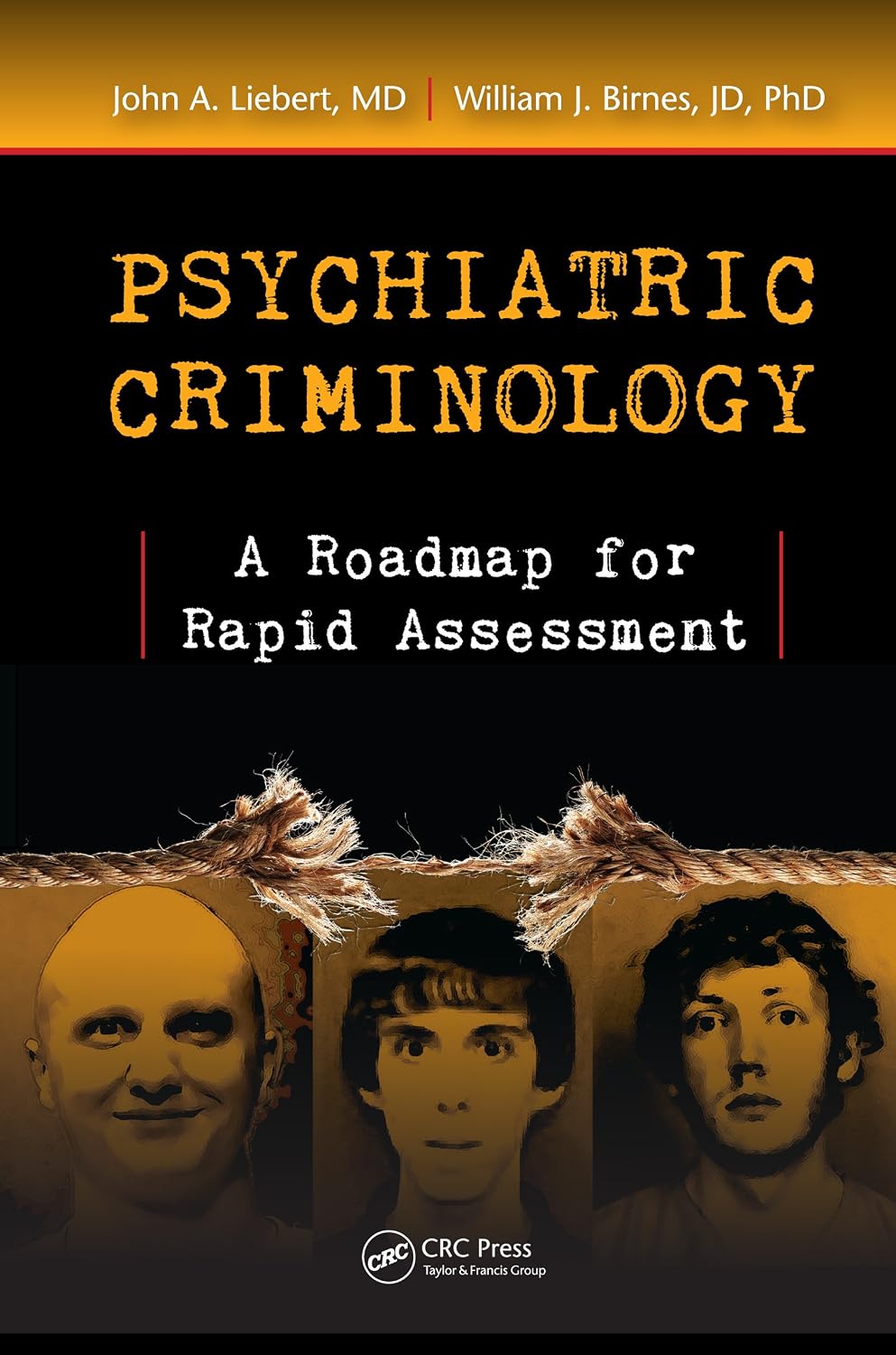 ler totalmente Psychiatric Criminology: A Roadmap for Rapid Assessment (English Edition)