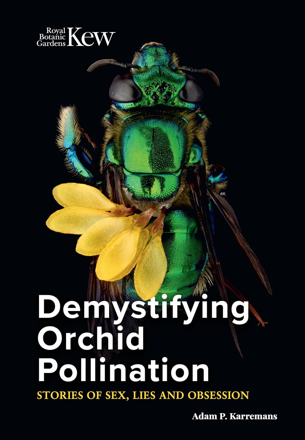 ler totalmente Demystifying Orchid Pollination: Stories of Sex, Lies and Obsession (English Edition)