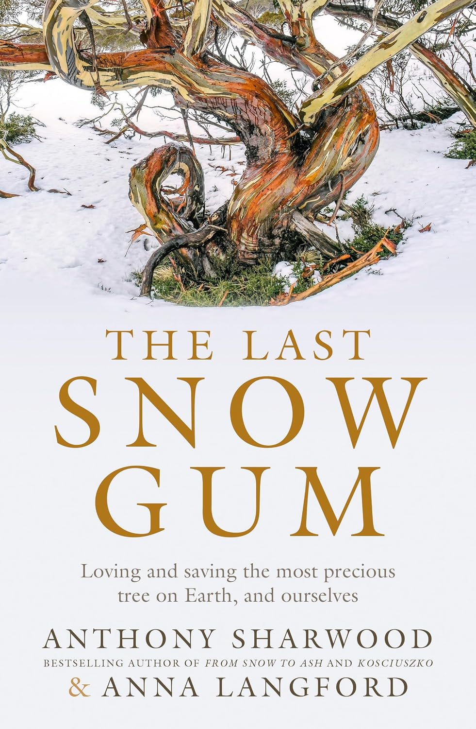 The Last Snow Gum: Loving and saving the most precious tree on Earth, and ourselves (English Edition) baixar o livro de graça