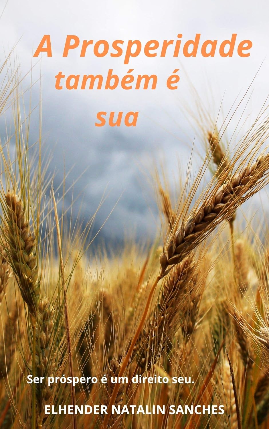A Prosperidade Também é sua: Ser próspero é um Direito seu baixar livro de graça