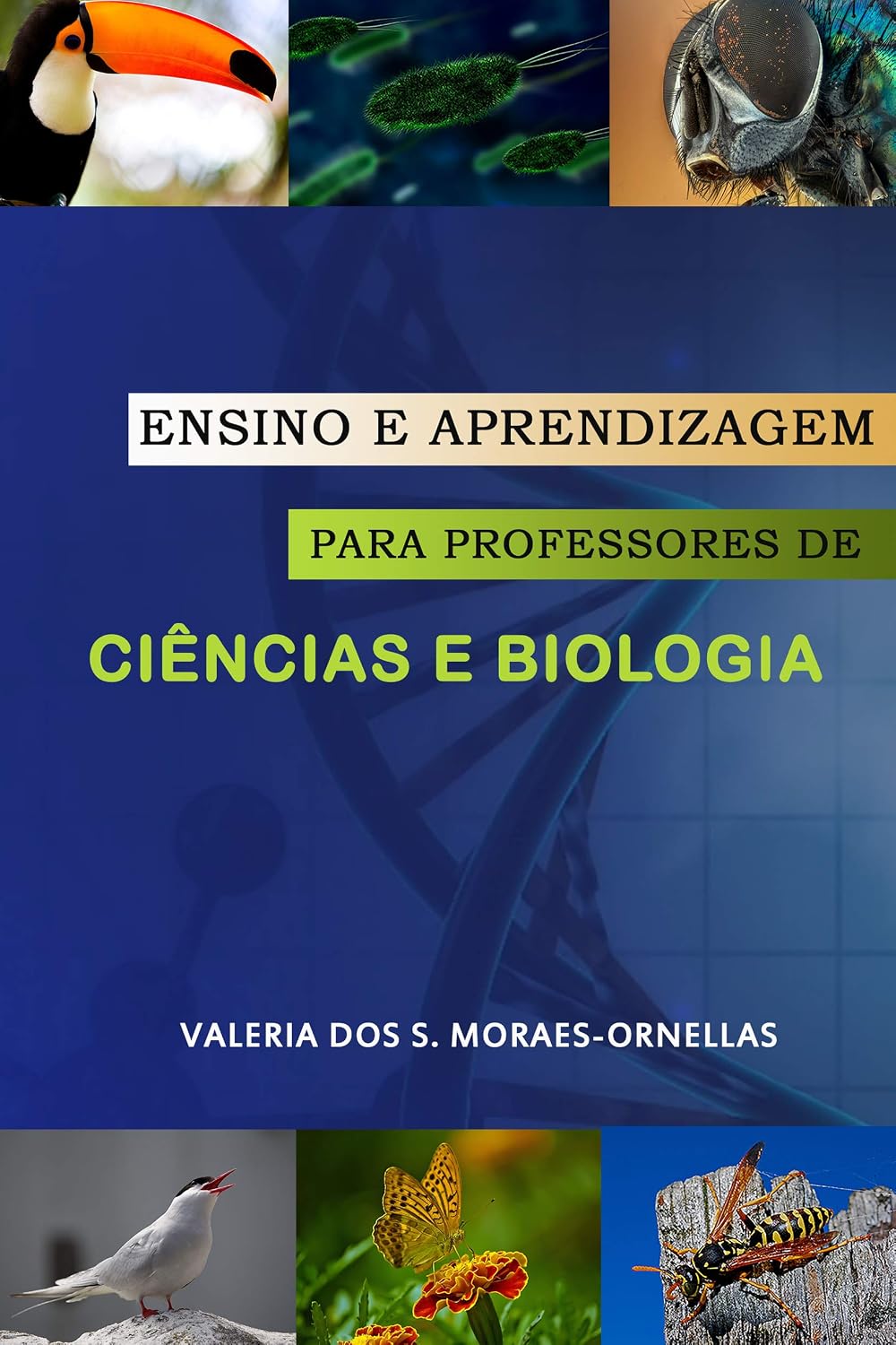 Ensino e Aprendizagem para Professores de Ciências e Biologia baixar livro de graça