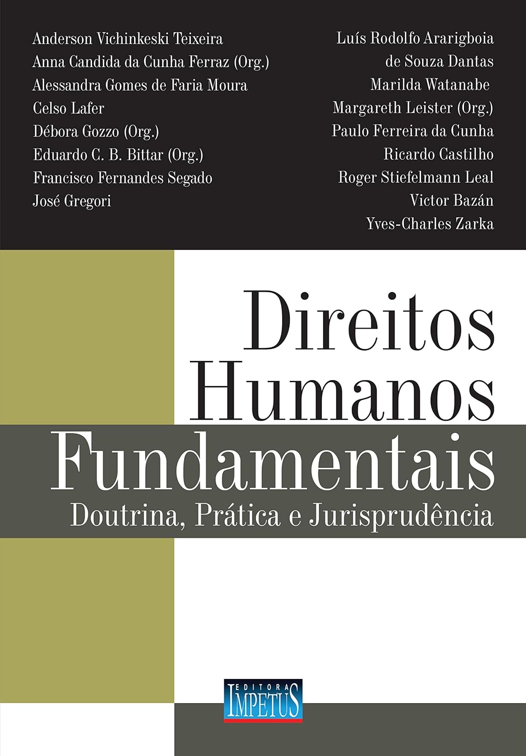 Direitos Humanos Fundamentais. Doutrina, Prática e Jurisprudência baixar livro de graça