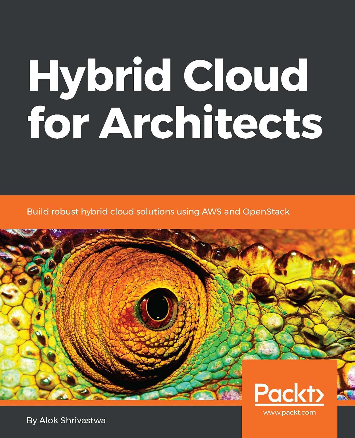 capítulo por capítulo baixar Hybrid Cloud for Architects: Build robust hybrid cloud solutions using AWS and OpenStack (English Edition)