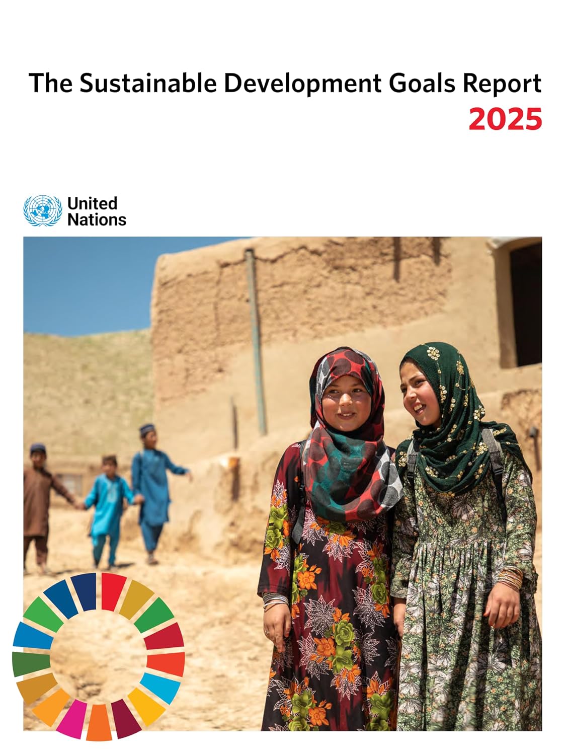 ler totalmente The Sustainable Development Goals Report 2025 (English Edition)