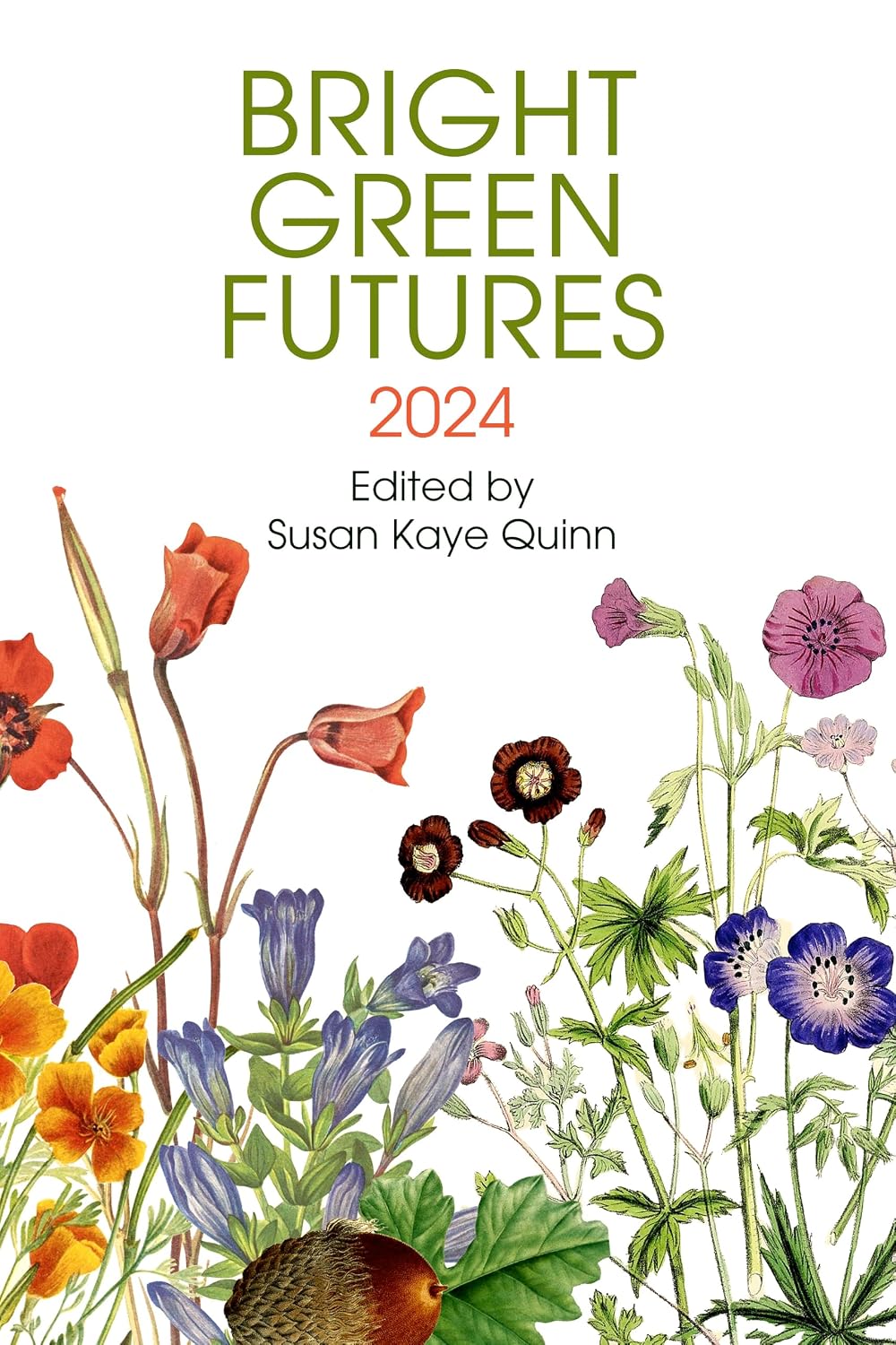 ler totalmente Bright Green Futures: 2024 (Solarpunk Anthology) (English Edition)