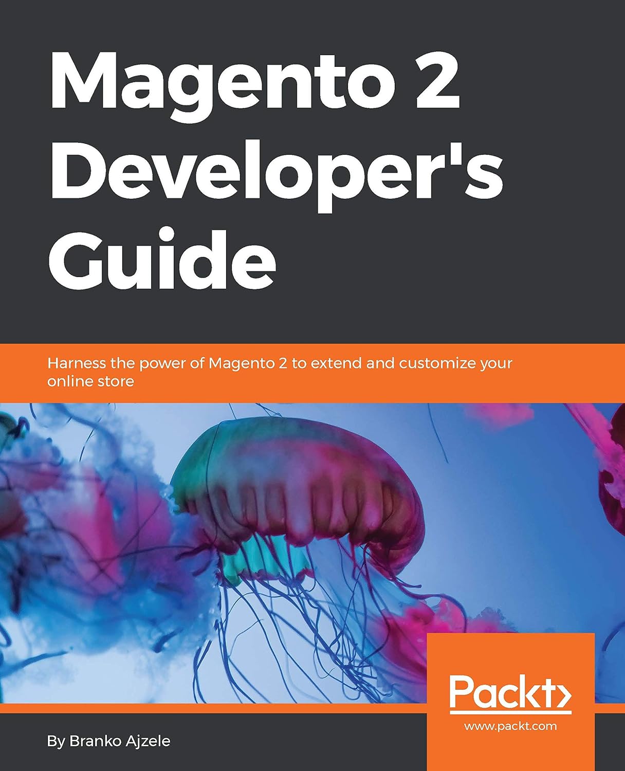 ler totalmente Magento 2 Developer's Guide: Harness the power of Magento 2 to extend and customize your online store (English Edition)