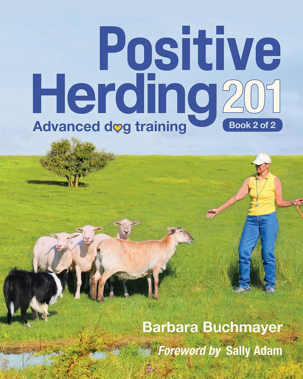 Positive Herding 201: Advanced dog training (Positive Herding Dog Book 2) (English Edition) baixar livro de graça