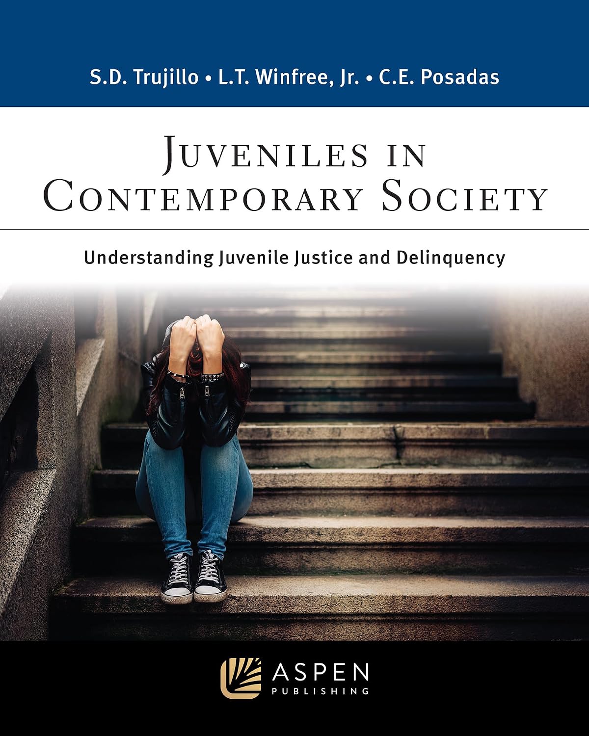 capítulo por capítulo baixar Juveniles in Contemporary Society: Understanding Juvenile Justice and Delinquency (Aspen Criminal Justice Series) (English Edition)