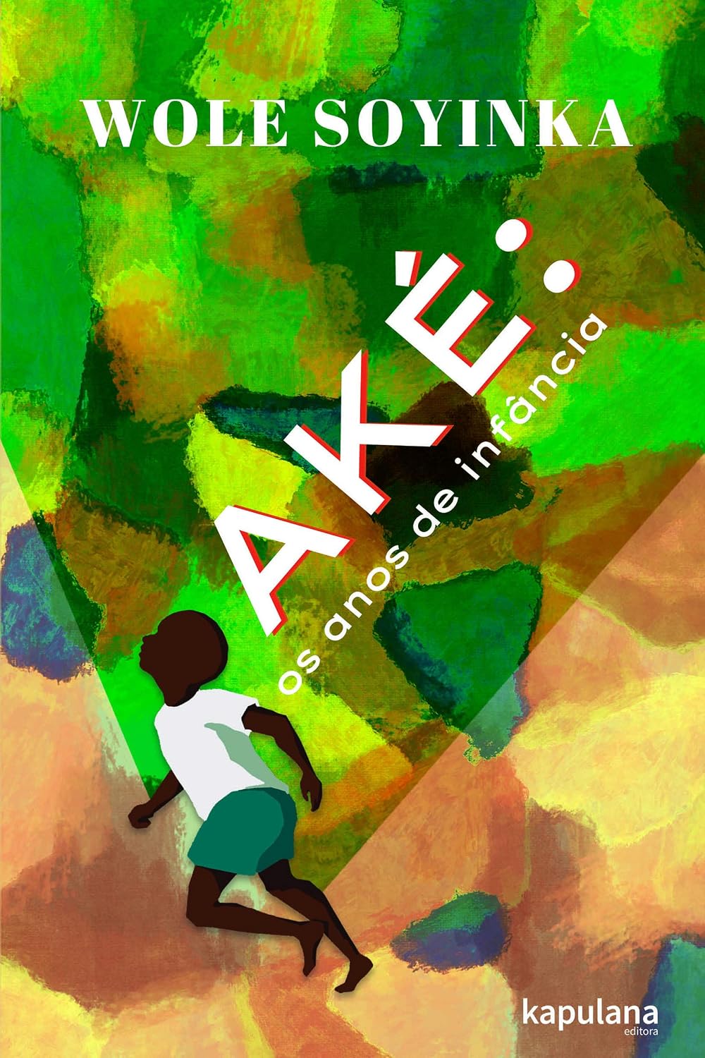Aké: os anos de infância baixar o livro de graça