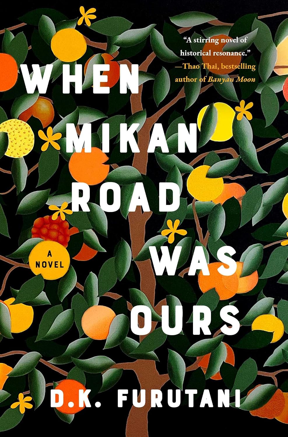 When Mikan Road Was Ours: A Novel (English Edition)