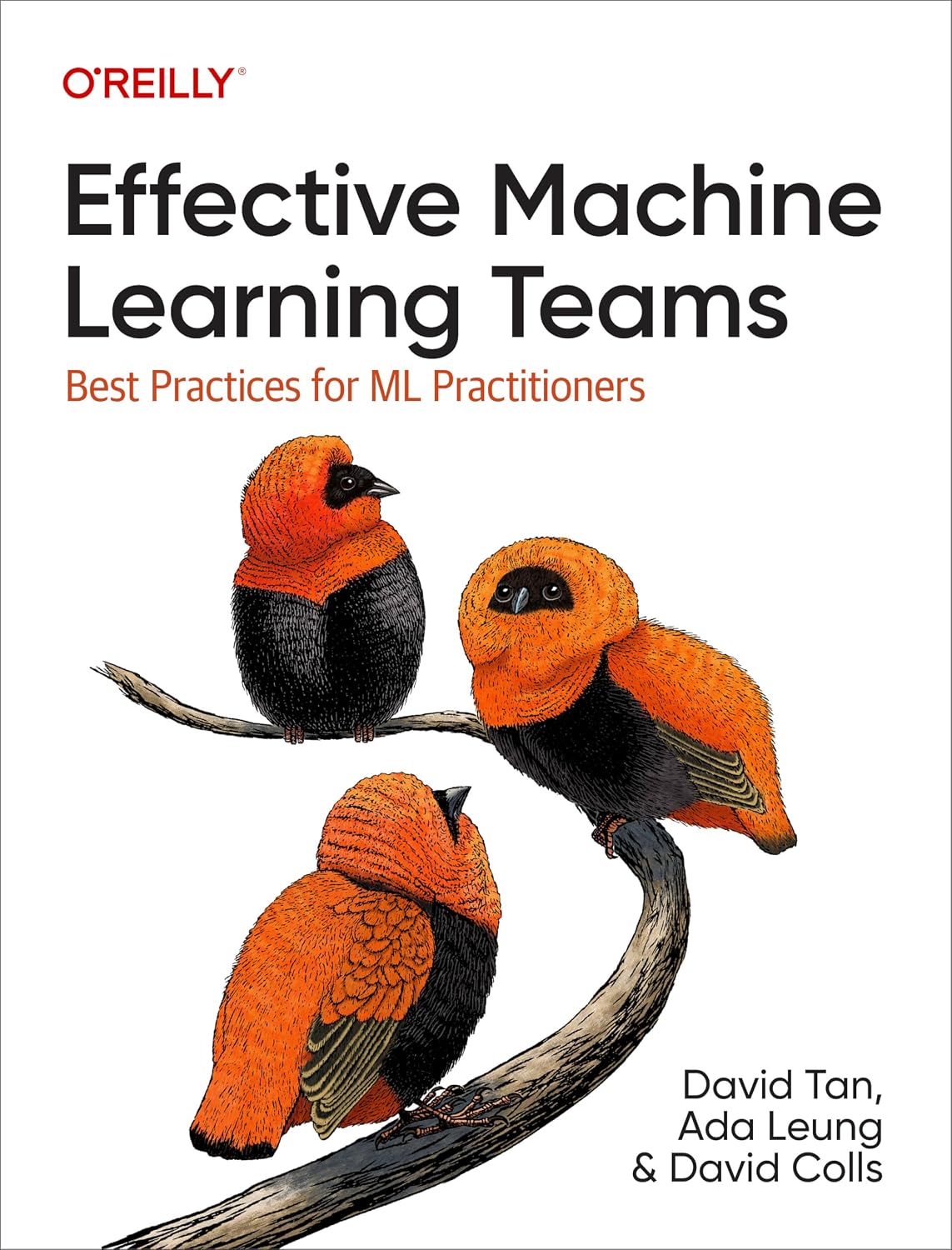 Effective Machine Learning Teams: Best Practices for ML Practitioners baixar livro de graça