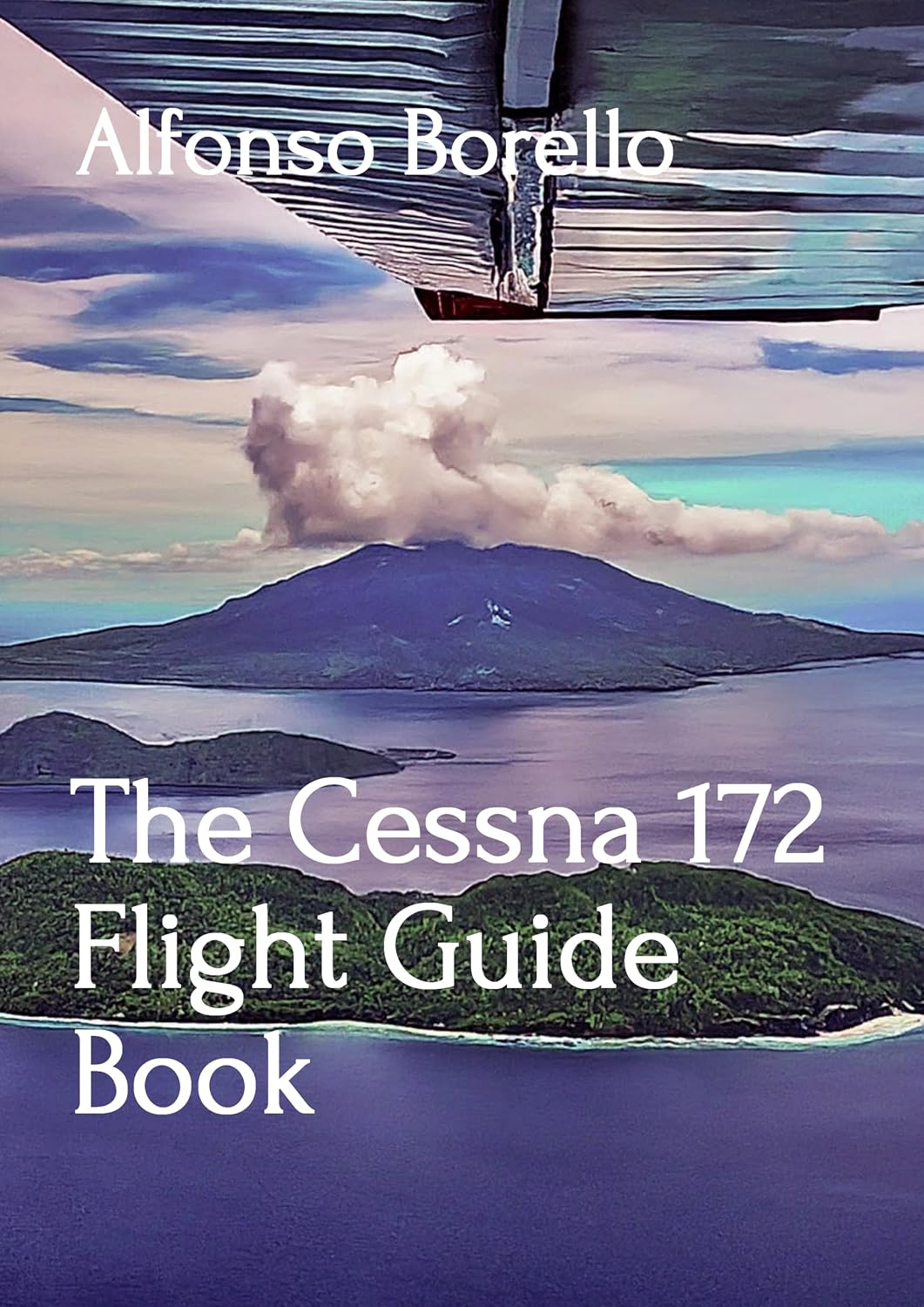 The Cessna 172 Flight Guide Book (English Edition) baixar o livro de graça