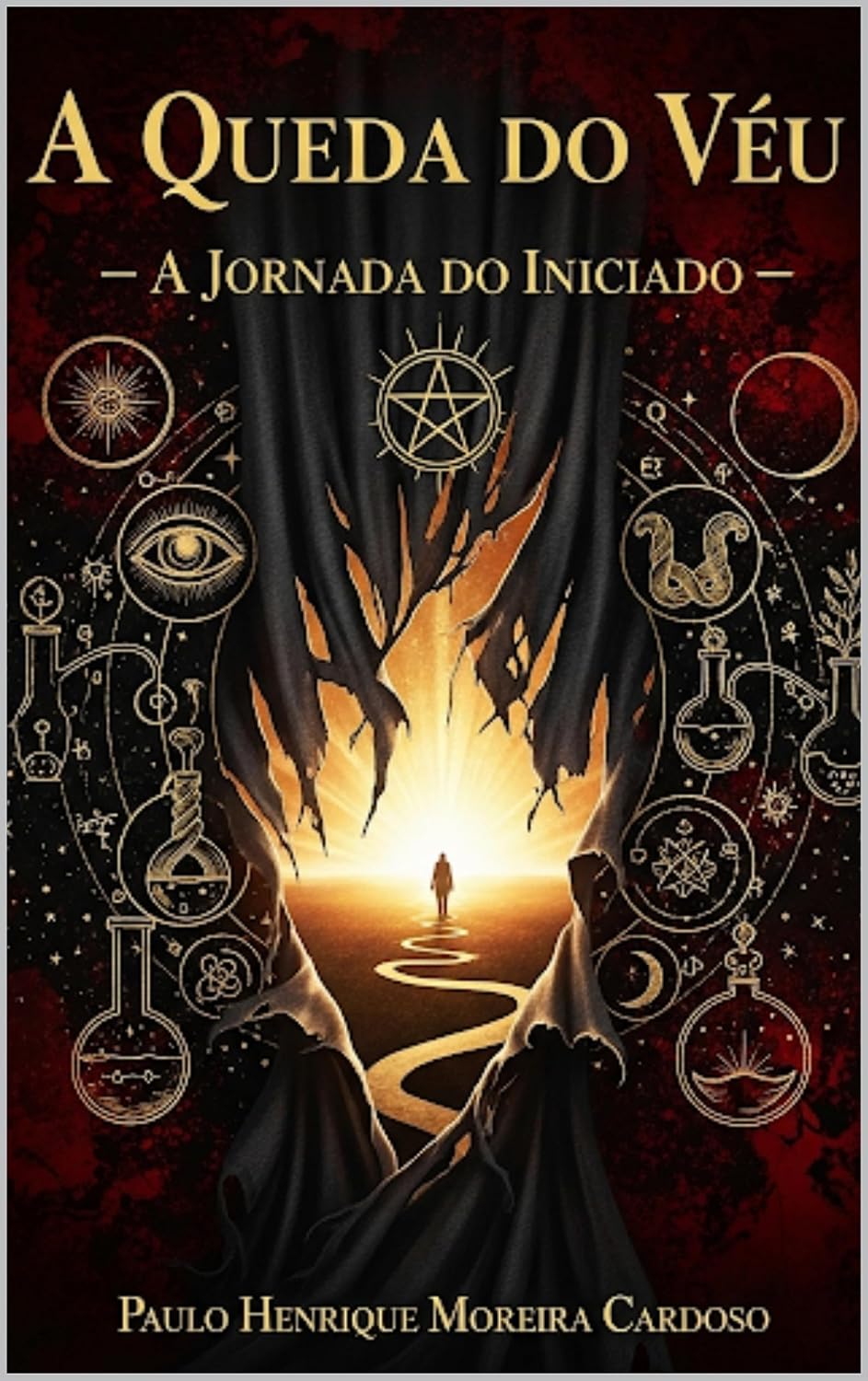 A Queda do Véu: A Jornada do Iniciado baixar o livro de graça