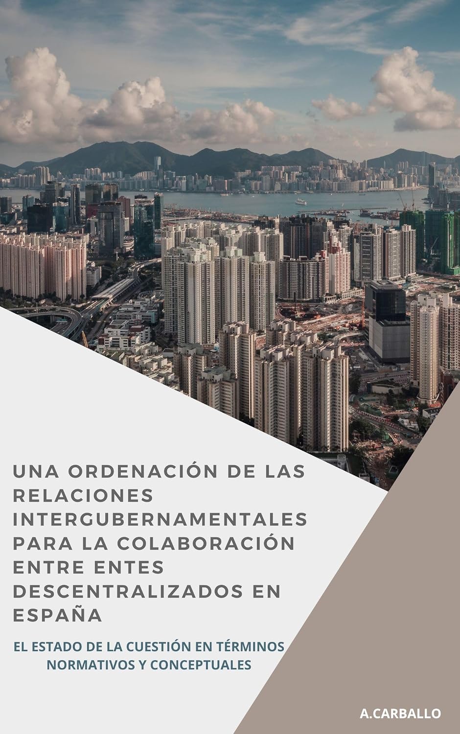 ler totalmente UNA ORDENACIÓN DE LAS RELACIONES INTERGUBERNAMENTALES PARA LA COLABORACIÓN ENTRE ENTES DESCENTRALIZADOS EN ESPAÑA: El estado de la cuestión en términos normativos y conceptuales (Spanish Edition)