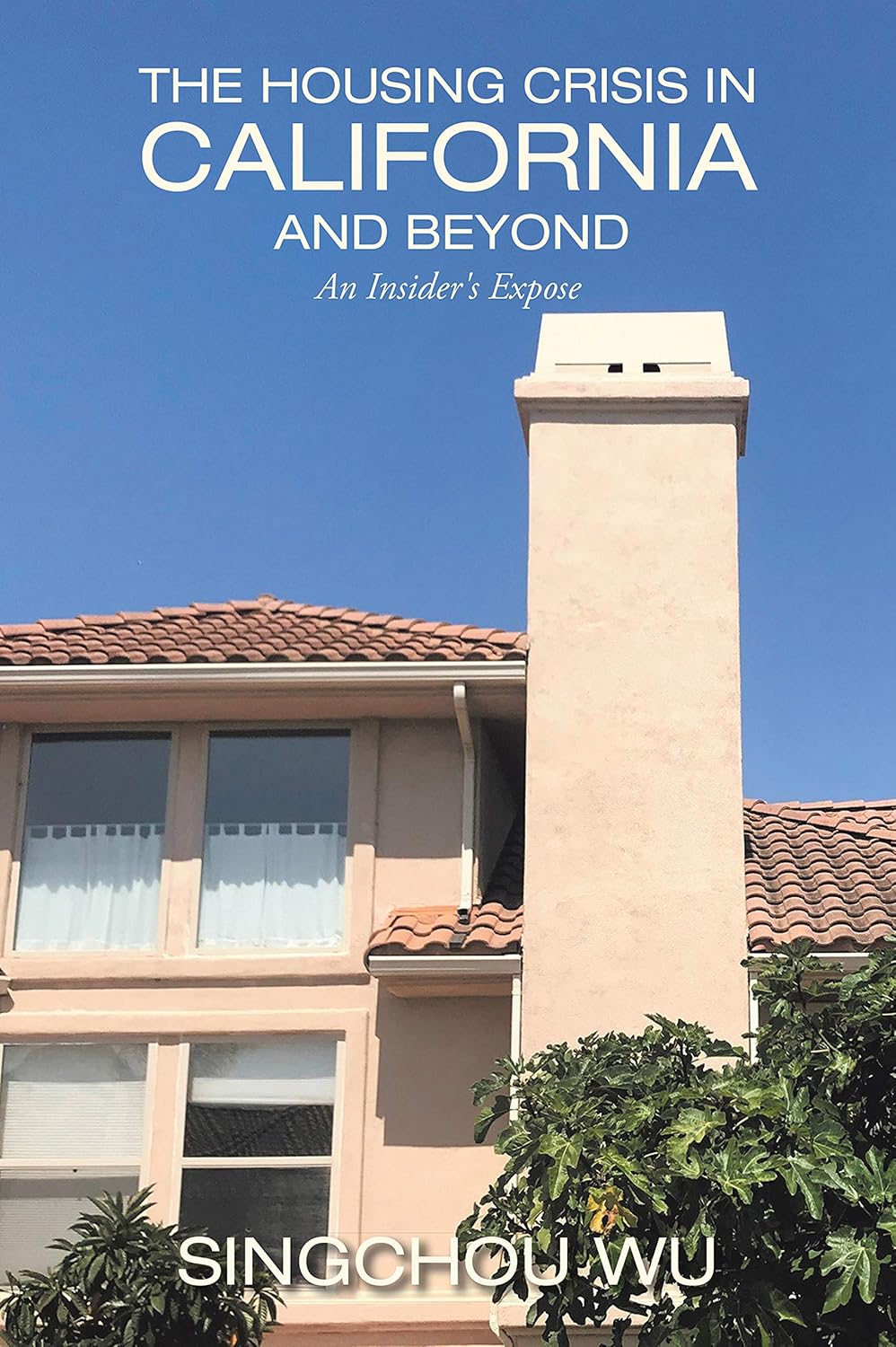 The Housing Crisis in California and Beyond: An Insider's Expose (English Edition)