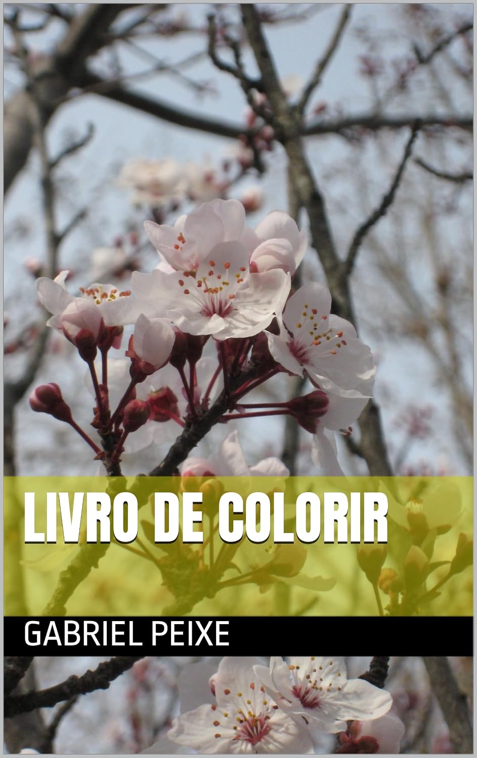 capítulo por capítulo baixar Livro de colorir