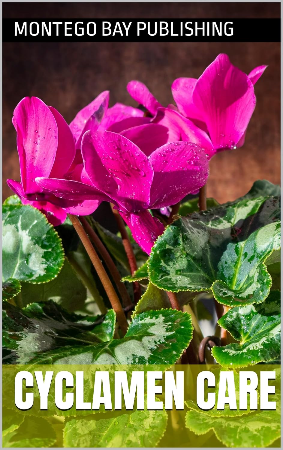 Cyclamen Care (Growing Flowers) (English Edition)