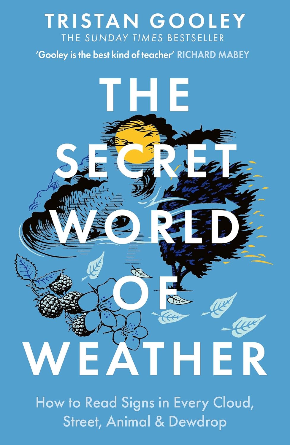 ler totalmente The Secret World of Weather: A must-have for all nature lovers - perfect reading for your summer walks (English Edition)