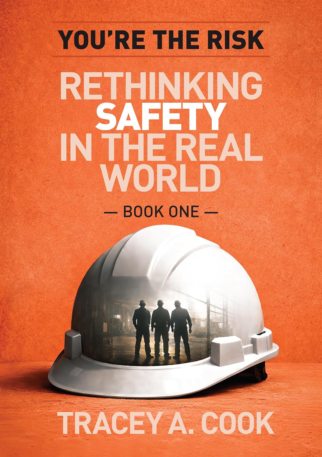 You're the Risk Book One: Rethinking Safety in the Real World (English Edition) baixar livro de graça