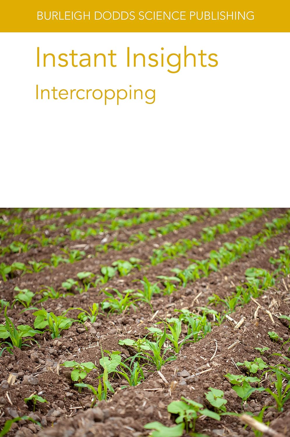 ler totalmente Instant Insights: Intercropping (Burleigh Dodds Science: Instant Insights Book 66) (English Edition)