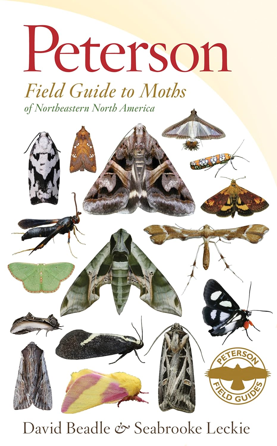 ler totalmente Peterson Field Guide to Moths of Northeastern North America: An Essential Illustrated Guide to Thousands of Species with the Peterson Arrow System: 80