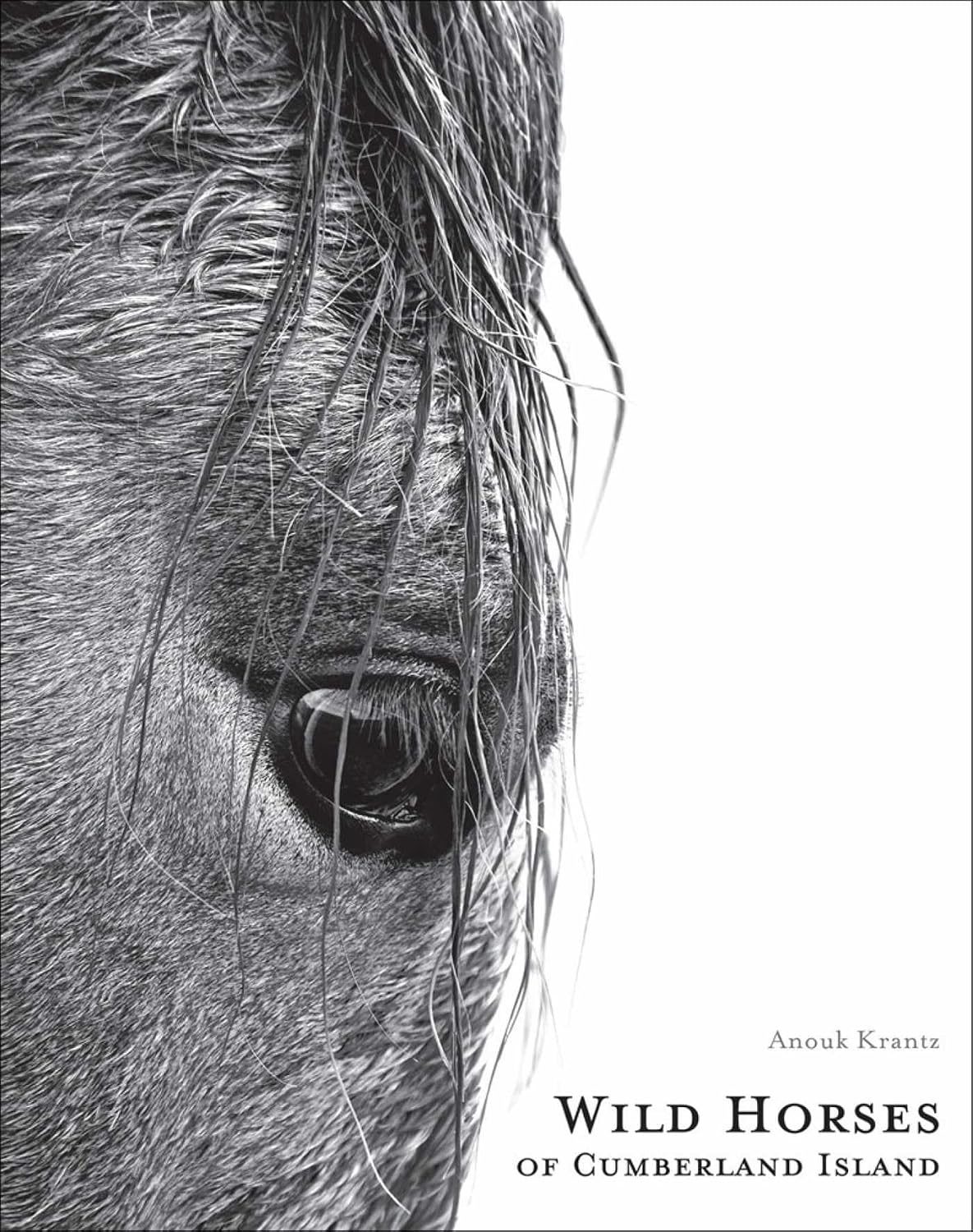 Wild Horses of Cumberland Island: Anouk Masson Krantz baixar o livro de graça