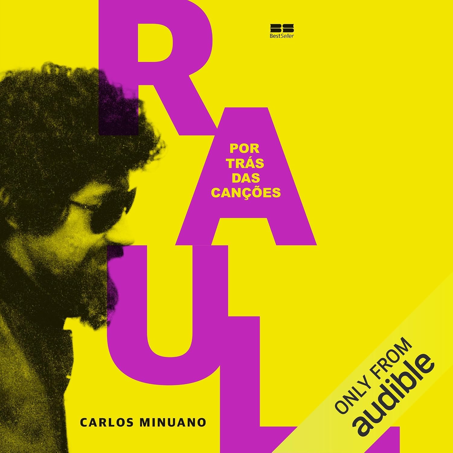 capítulo por capítulo baixar Raul Seixas: Por trás das canções