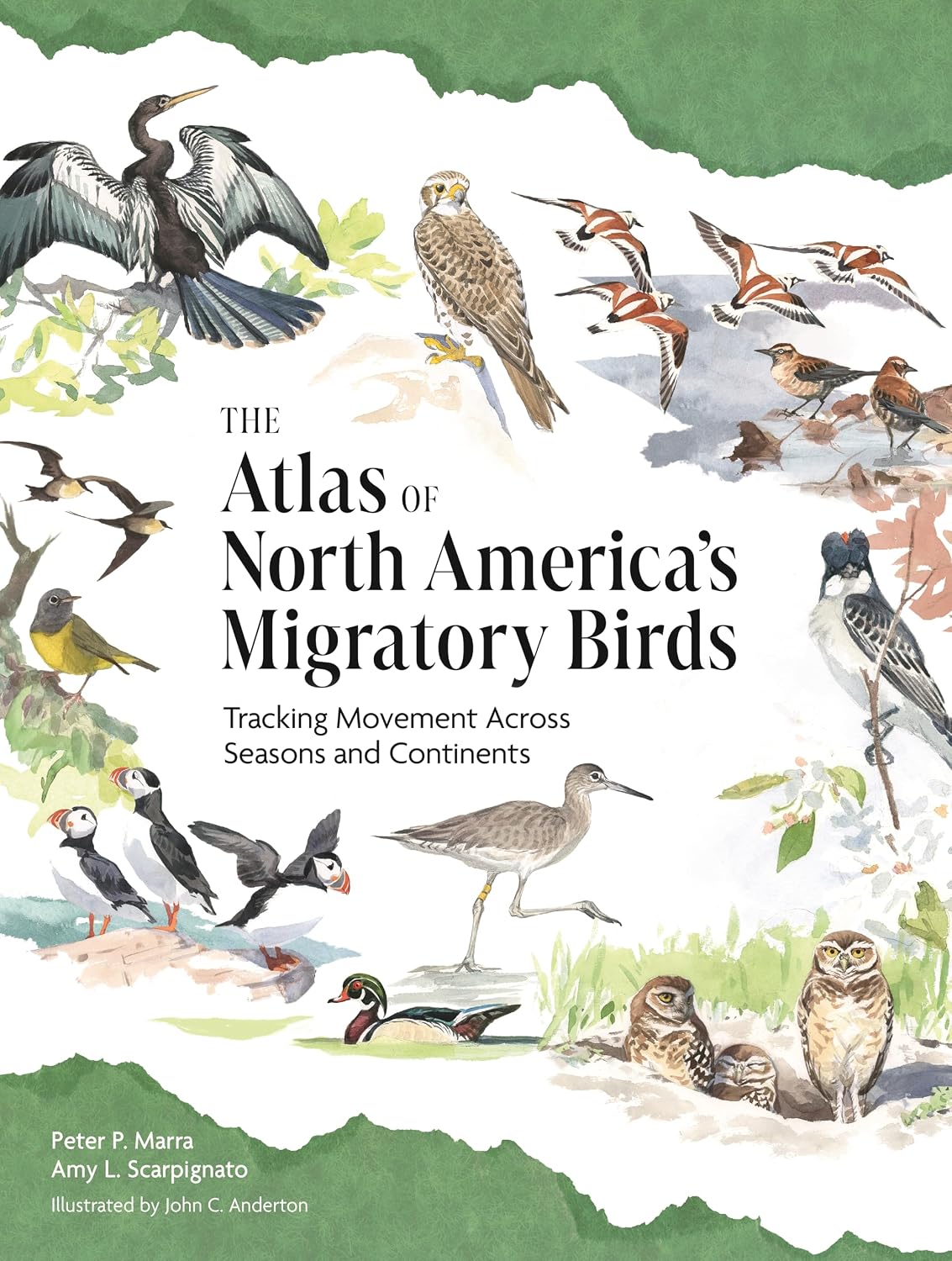 The Atlas of North America’s Migratory Birds: Tracking Movement Across Seasons and Continents (English Edition) baixar livro de graça