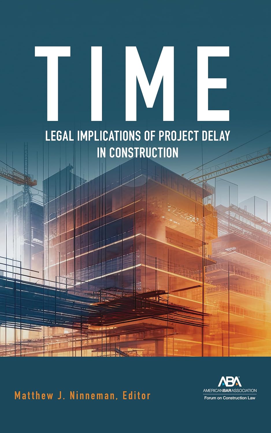 Time: Legal Implications of Project Delay in Construction (English Edition) baixar o livro de graça