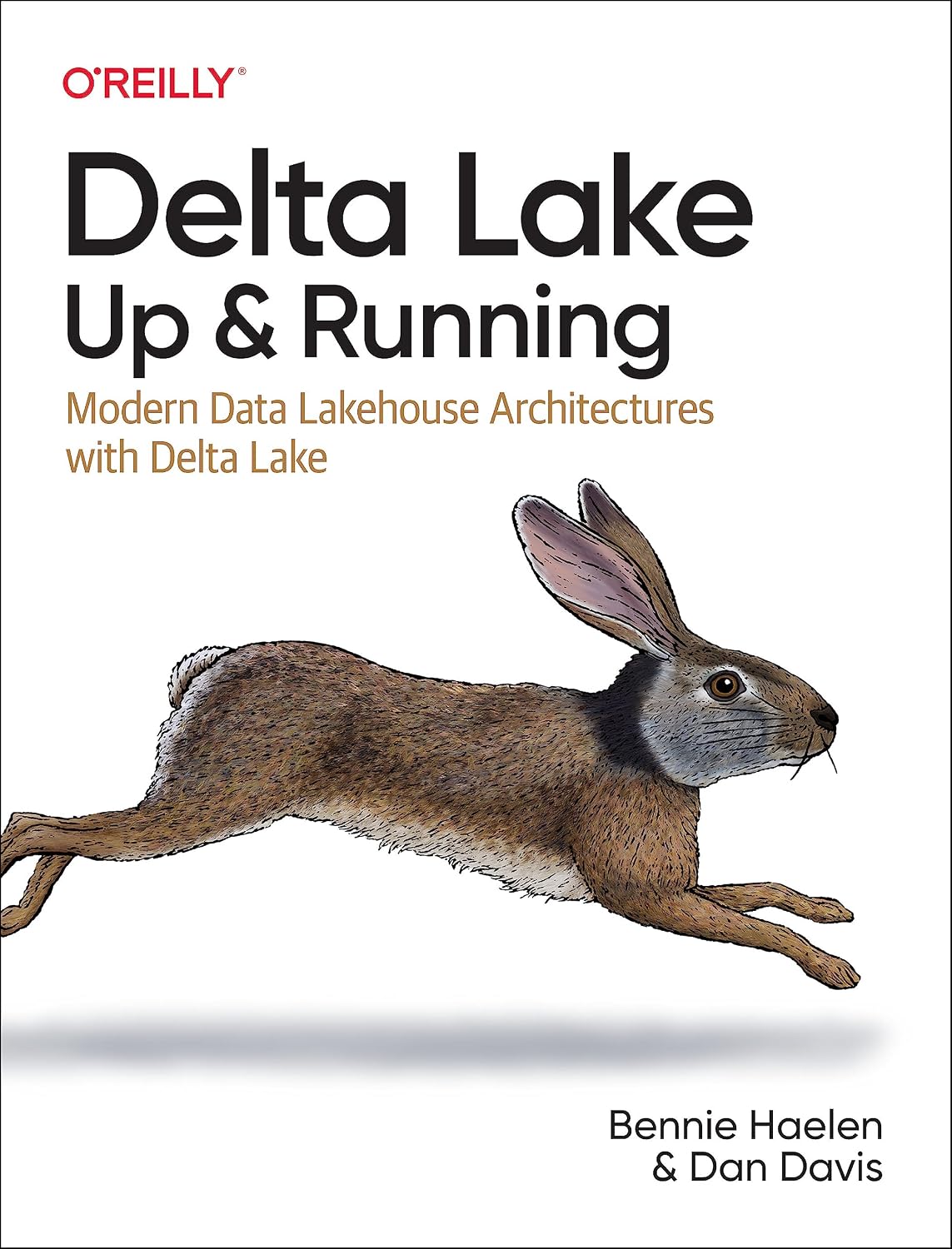 capítulo por capítulo baixar Delta Lake: Up and Running: Modern Data Lakehouse Architectures with Delta Lake