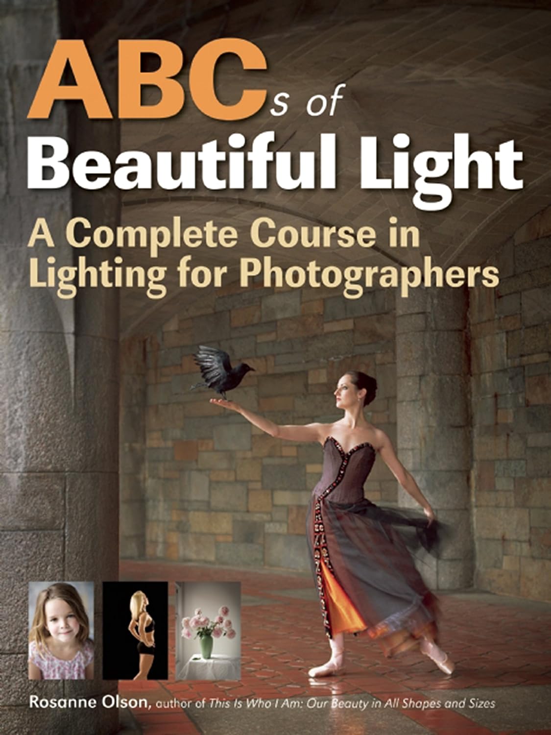 ABCs of Beautiful Light (English Edition) baixar o livro de graça