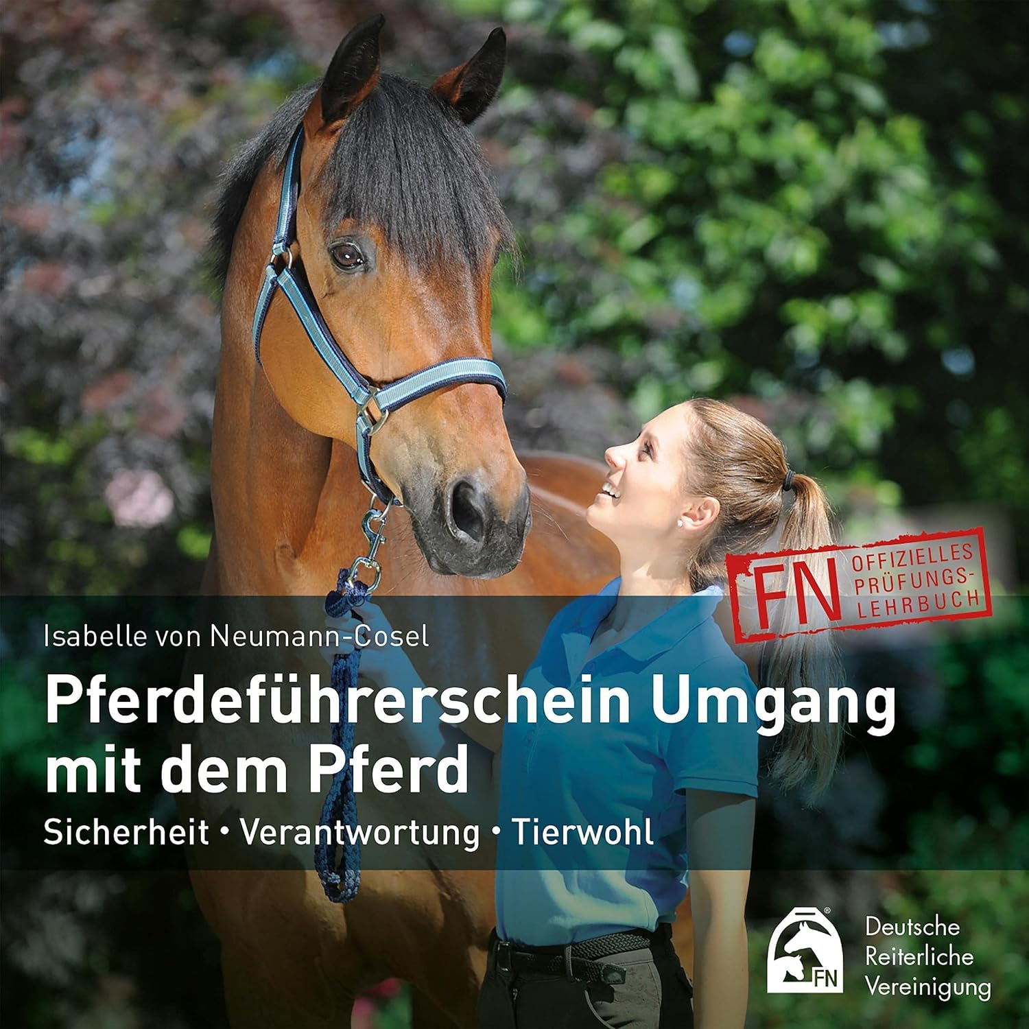 Pferdeführerschein Umgang mit dem Pferd: Sicherheit - Verantwortung - Tierwohl baixar o livro de graça