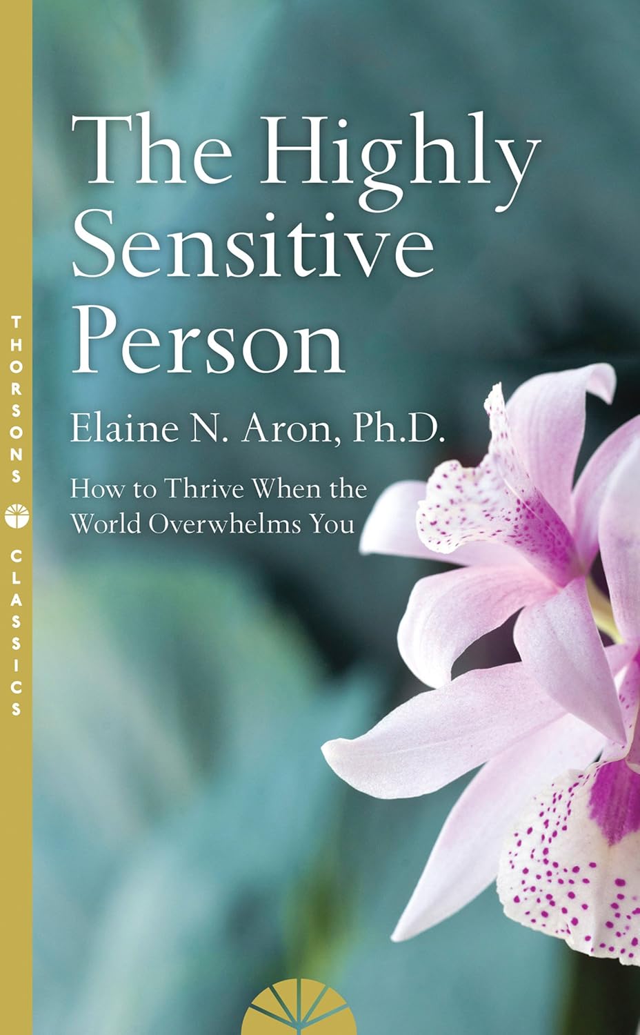 capítulo por capítulo baixar The Highly Sensitive Person: The Bestselling Classic about Reframing Your World and Thriving (English Edition)