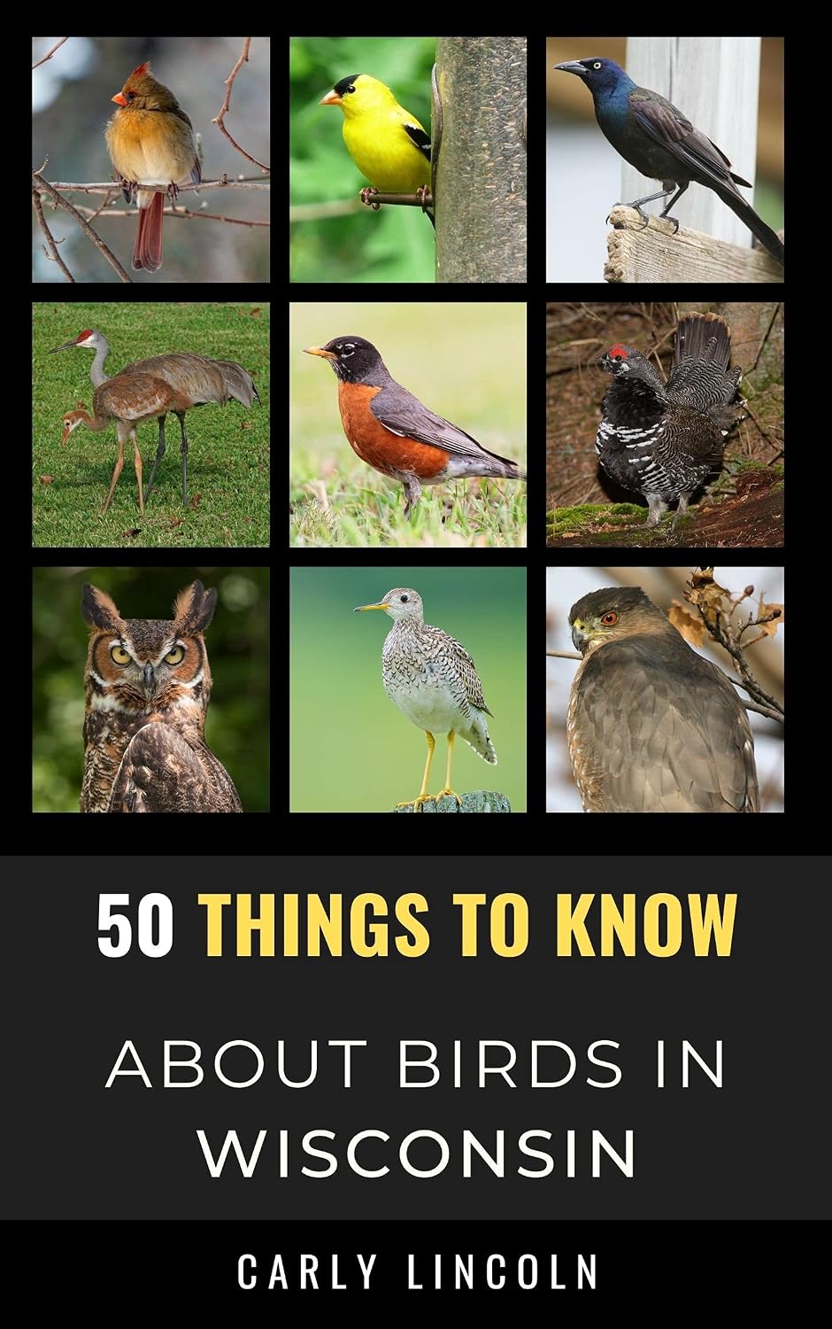 ler totalmente 50 Things to Know About Birds in Wisconsin: Birdwatching Guide, Bird Identification, Local Species, & Backyard Birds (50 Things to Know About Birds &... and regional bird books) (English Edition)