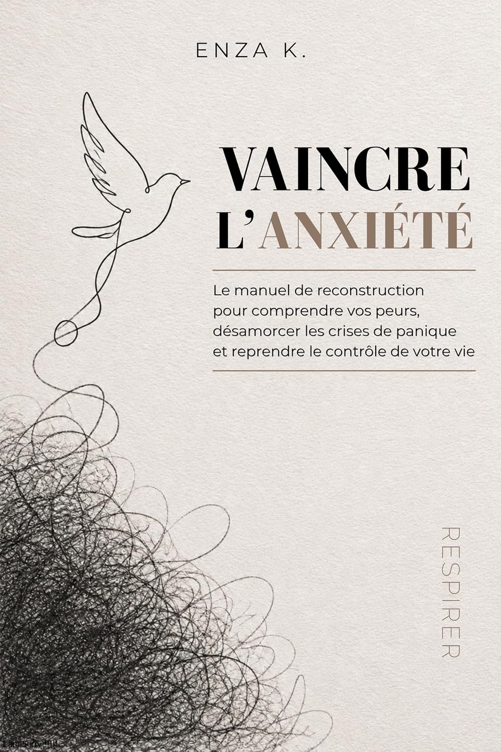 VAINCRE L’ANXIÉTÉ: Le manuel de reconstruction pour comprendre vos peurs, désamorcer les crises de panique et reprendre le contrôle de votre vie (French Edition) baixar livro de graça