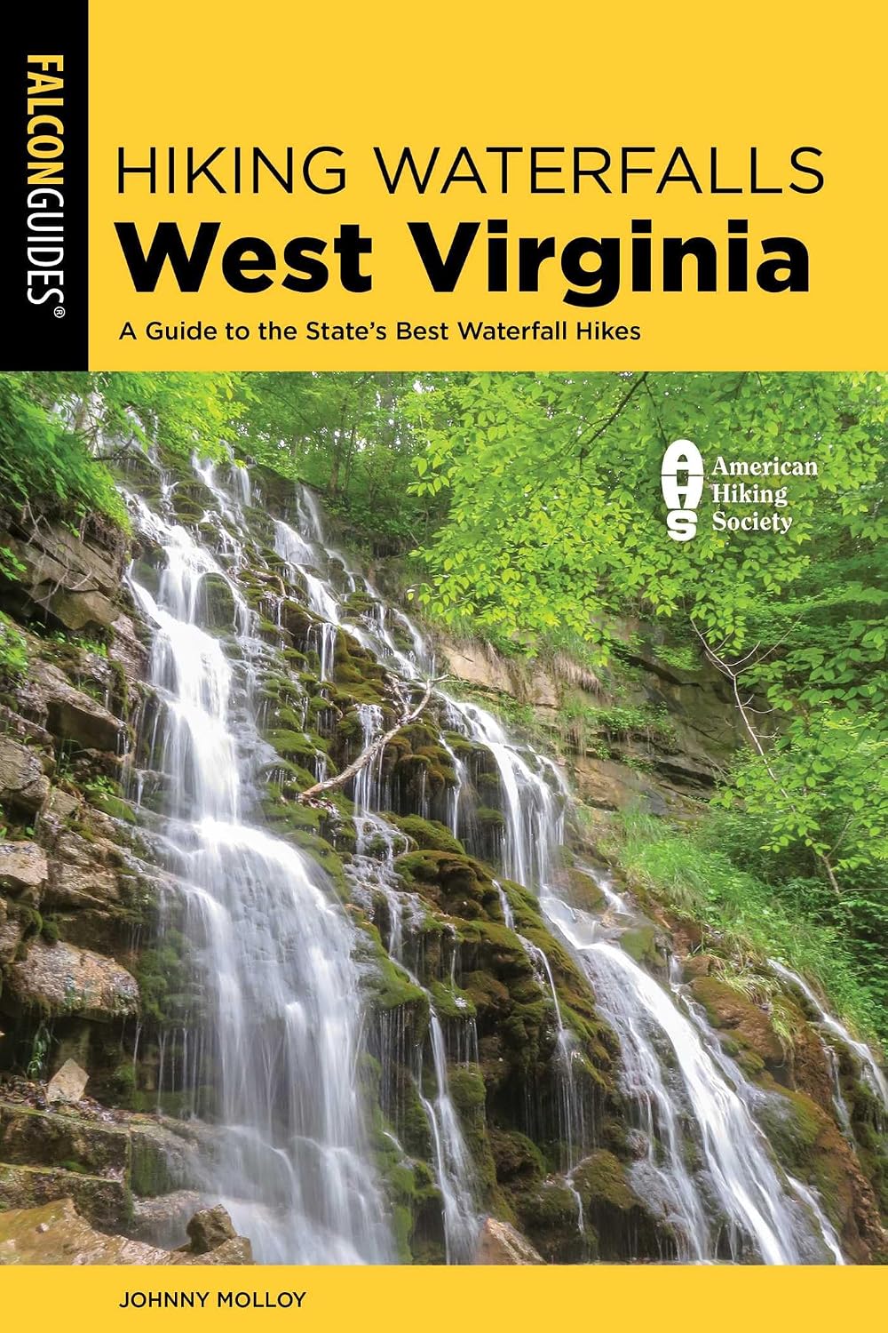 Hiking Waterfalls West Virginia: A Guide to the State's Best Waterfall Hikes (English Edition) baixar o livro de graça