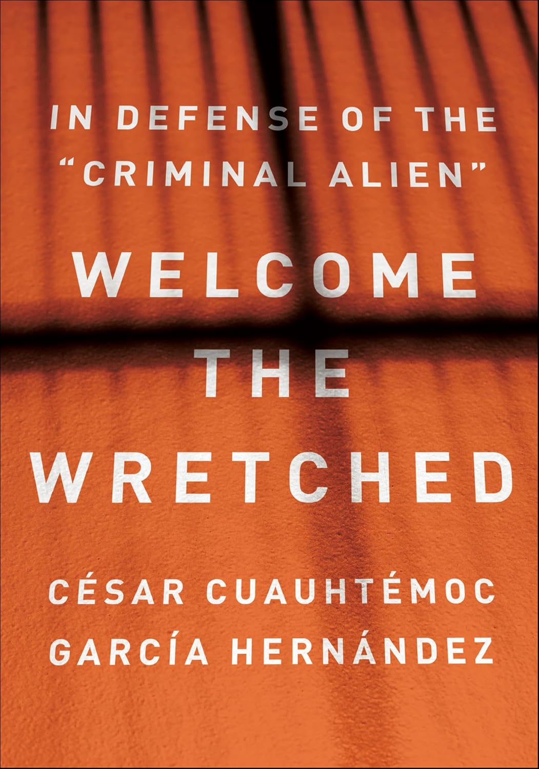 Welcome the Wretched: In Defense of the "Criminal Alien" (English Edition) baixar o livro de graça