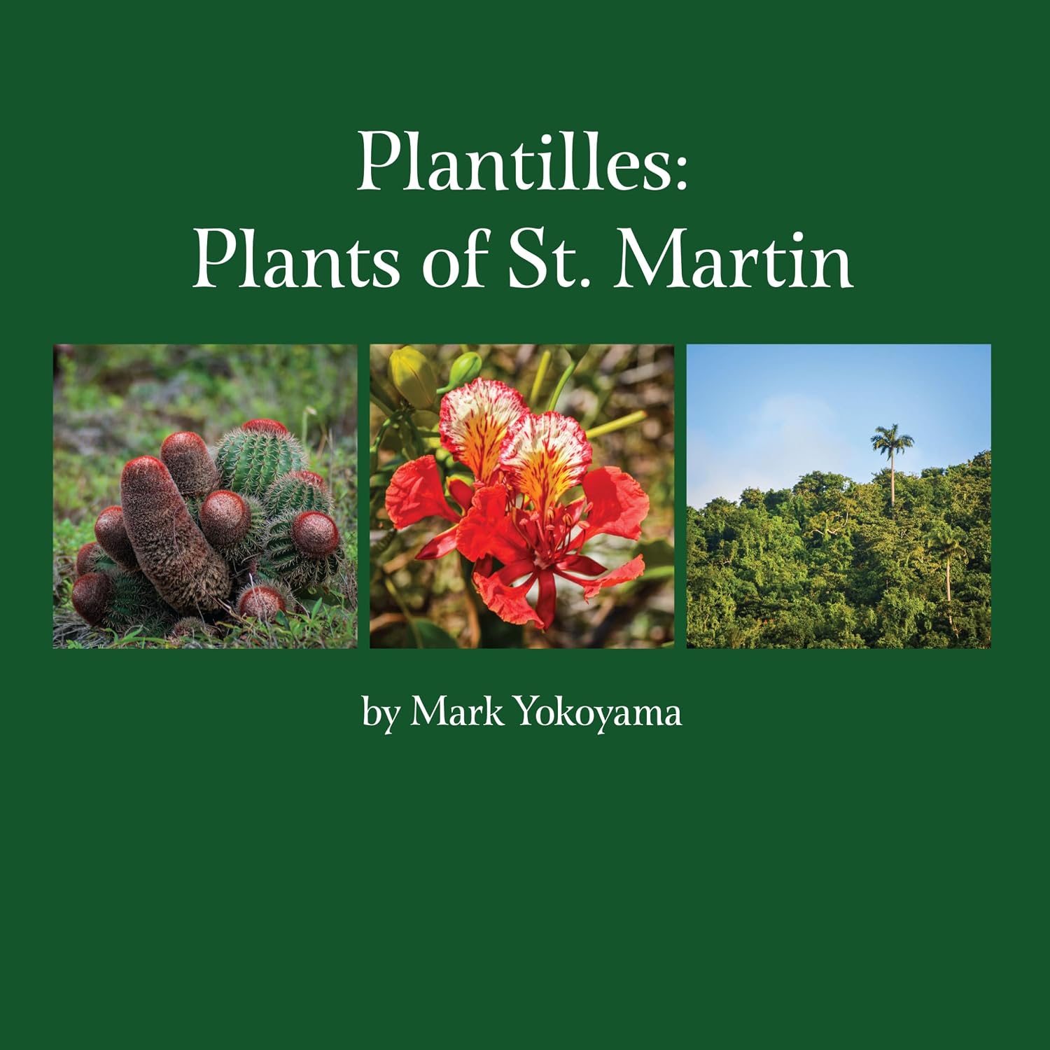 ler totalmente Plantilles: Plants of St. Martin (English Edition)