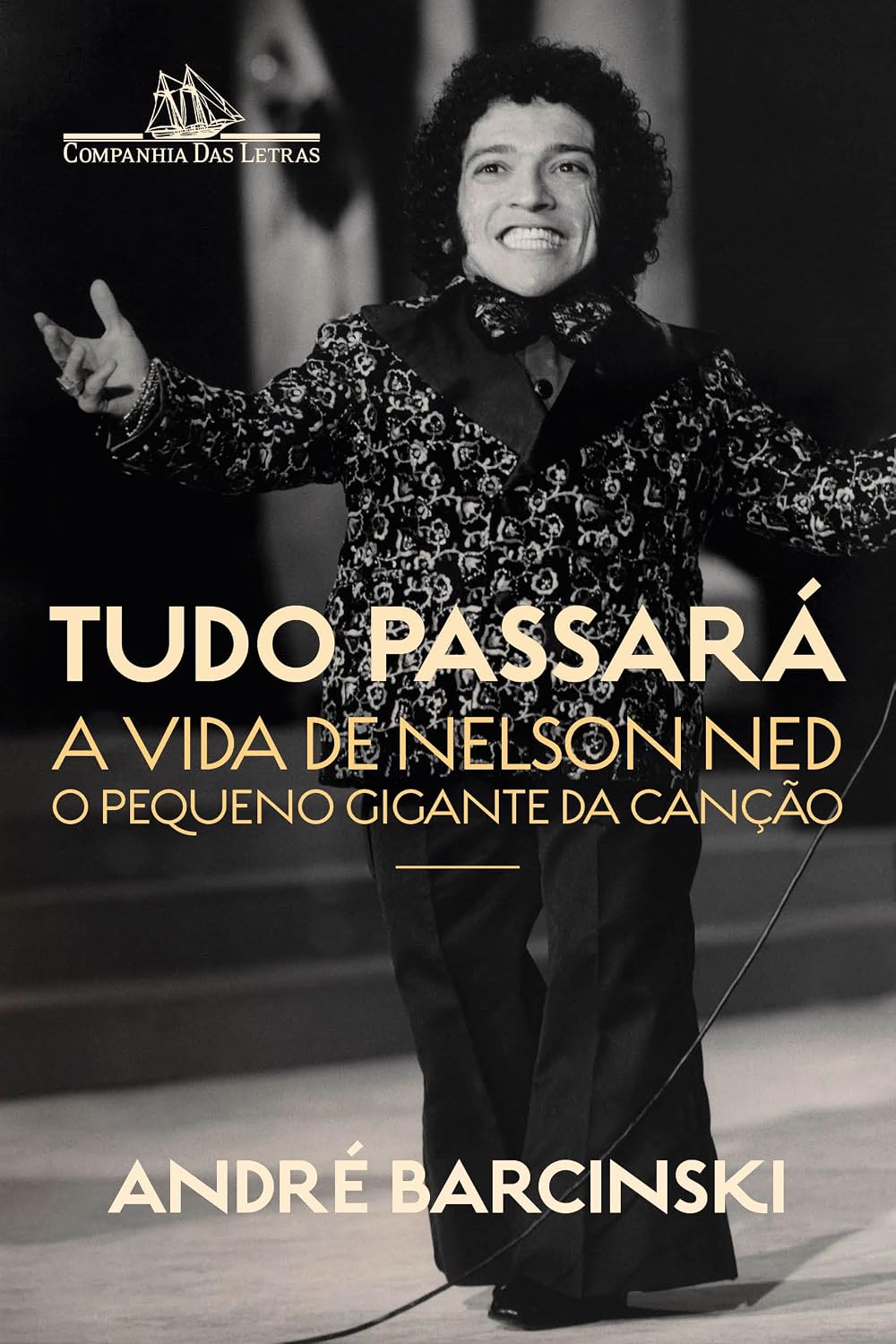 ler totalmente Tudo passará: A vida de Nelson Ned, o Pequeno Gigante da Canção