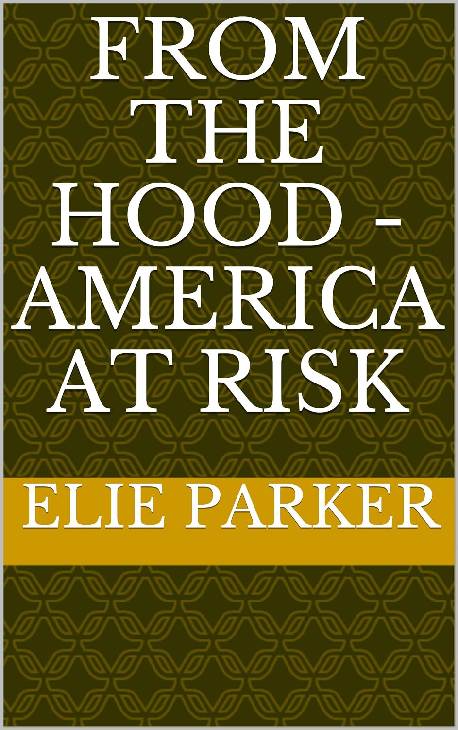 ler totalmente From the Hood - America at Risk (English Edition)