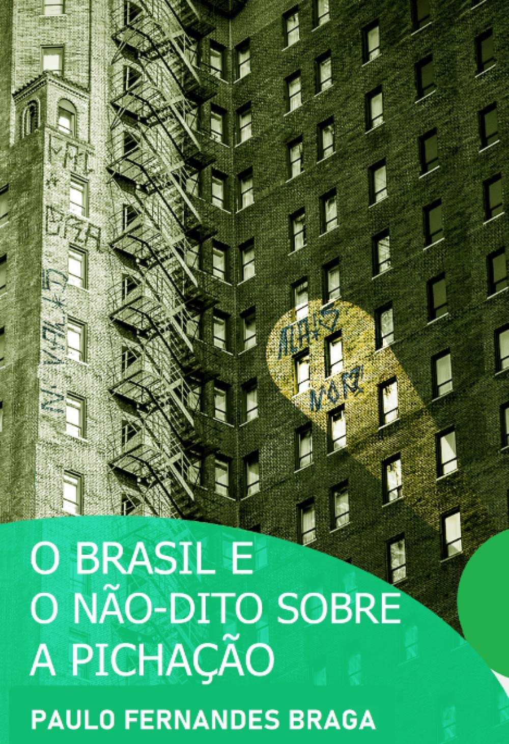 ler totalmente O Brasil e o não-dito sobre a Pichação