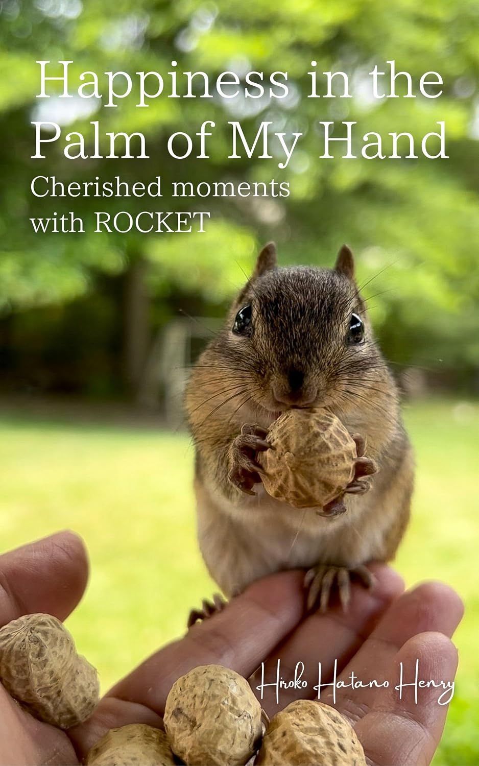 capítulo por capítulo baixar Happiness in the Palm of My Hand　: ロケットとの愛おしい瞬間 (English Edition)