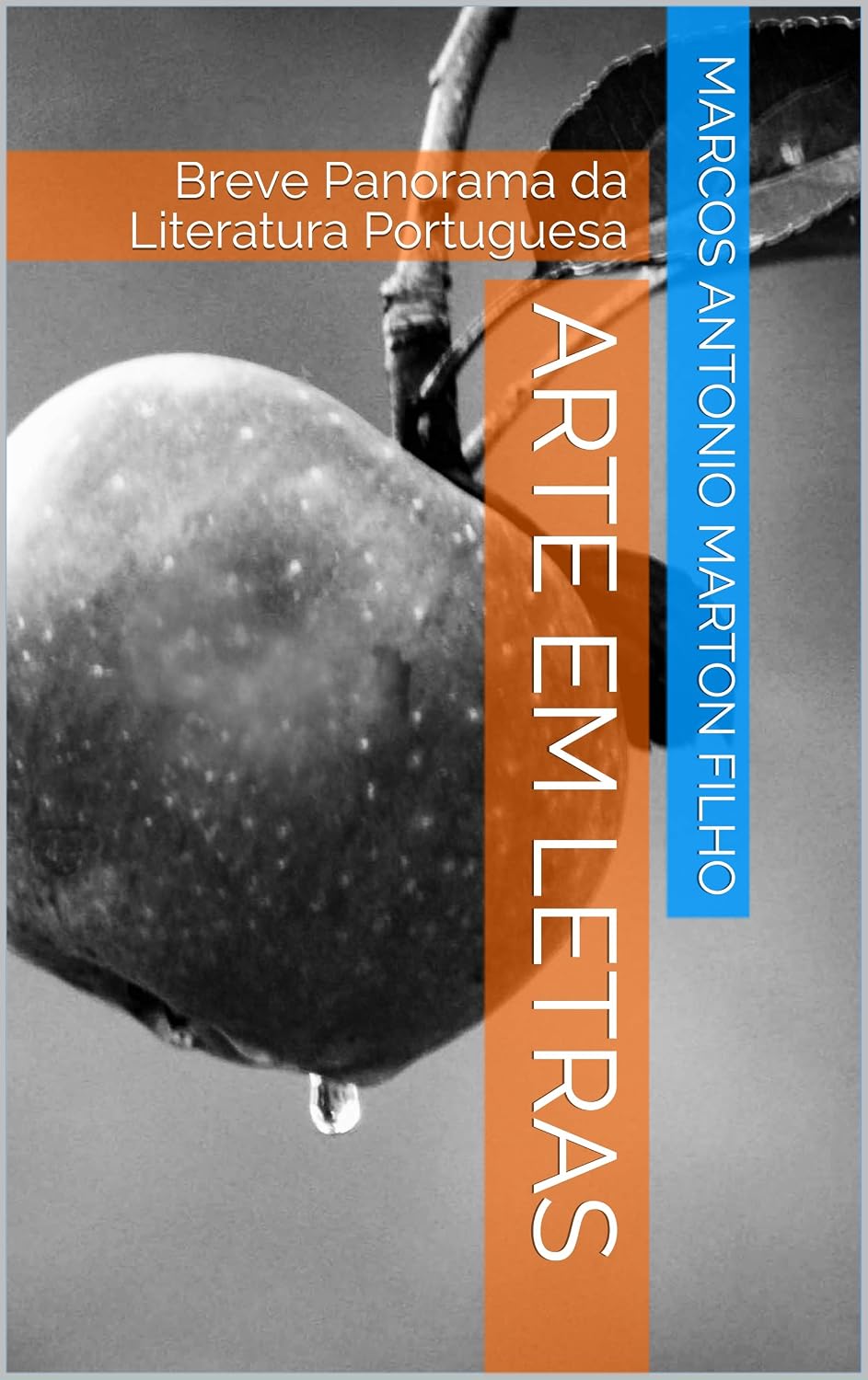 ler totalmente Arte em Letras: Breve Panorama da Literatura Portuguesa
