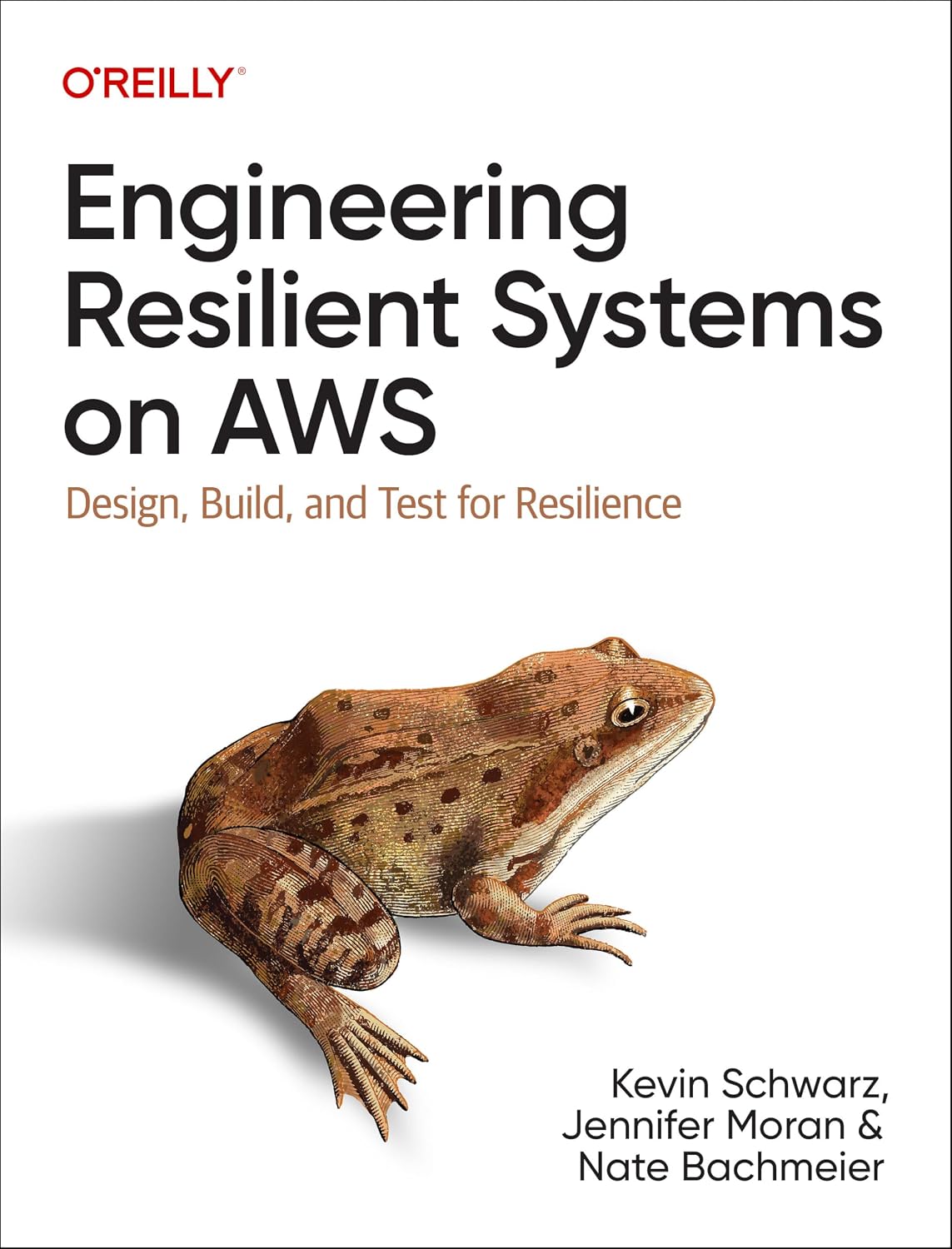 Engineering Resilient Systems on AWS: Design, Build, and Test for Resilience baixar livro de graça