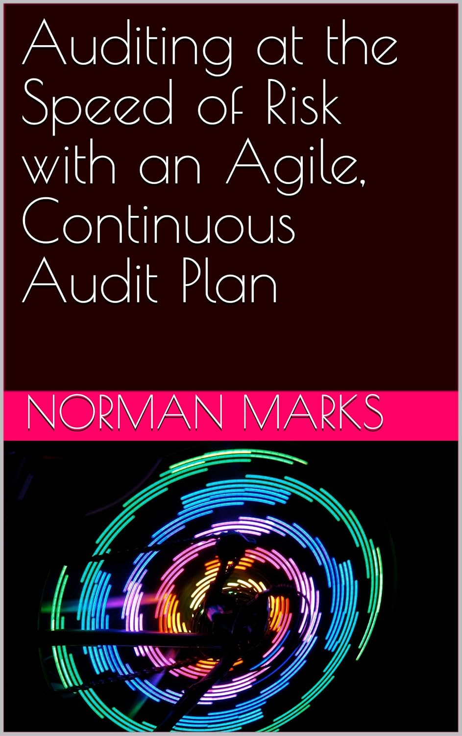 Auditing at the Speed of Risk with an Agile, Continuous Audit Plan (English Edition) baixar livro de graça