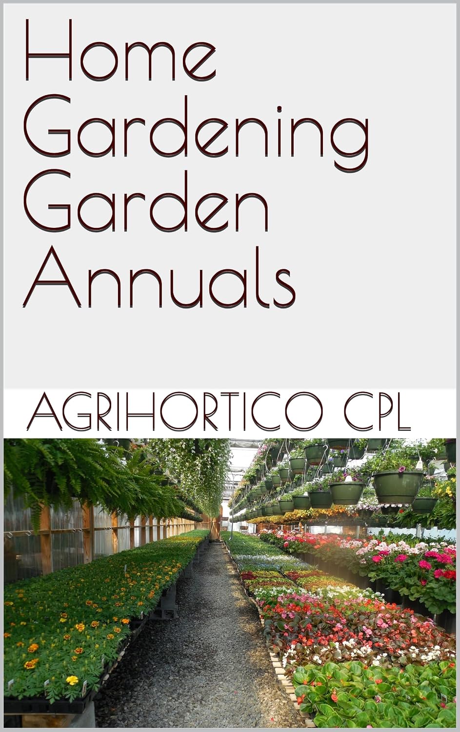 Home Gardening Garden Annuals (Presentations on Home Gardening Book 3) (English Edition) baixar o livro de graça