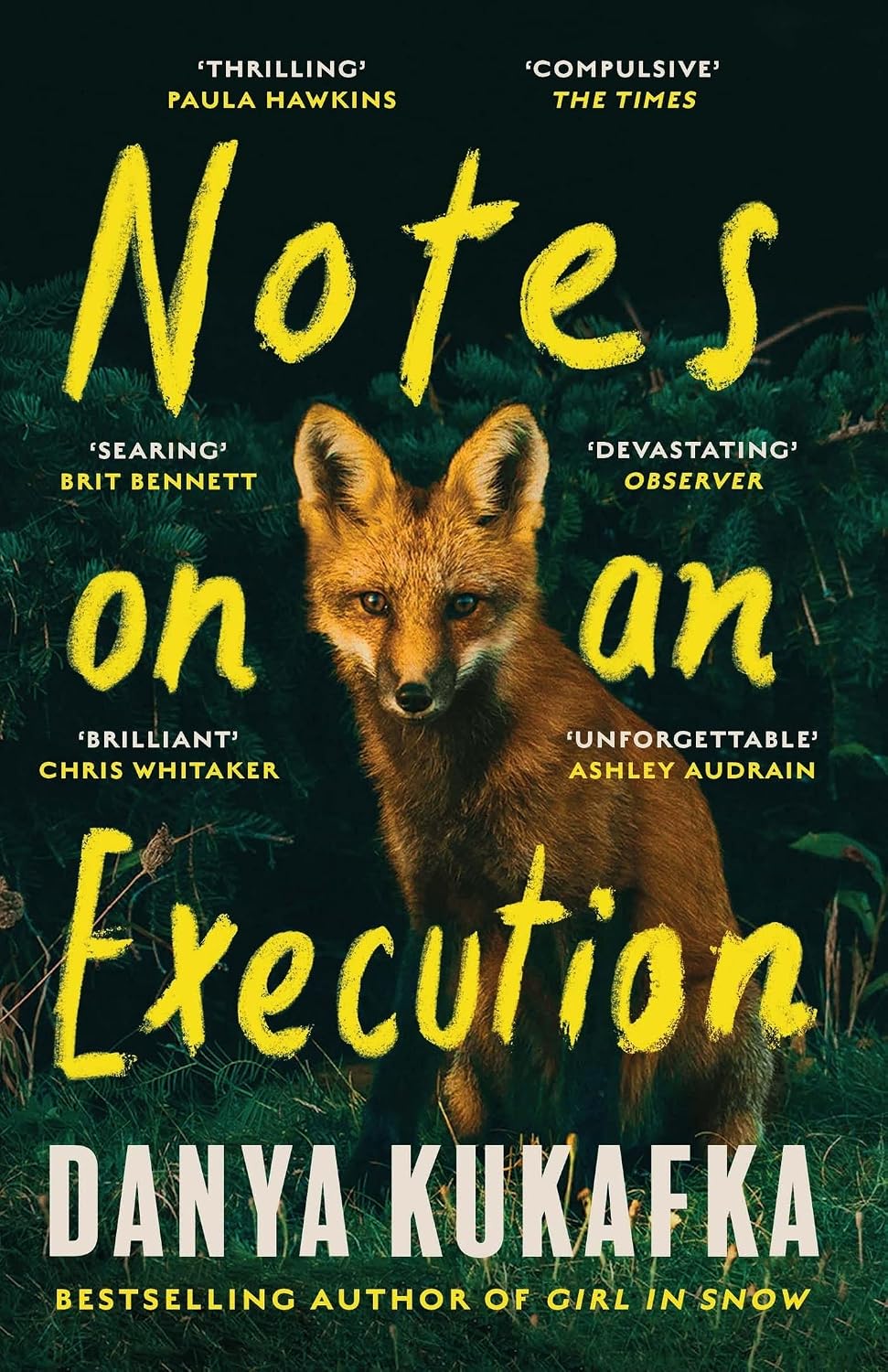 Notes on an Execution: The bestselling thriller that everyone is talking about (English Edition)