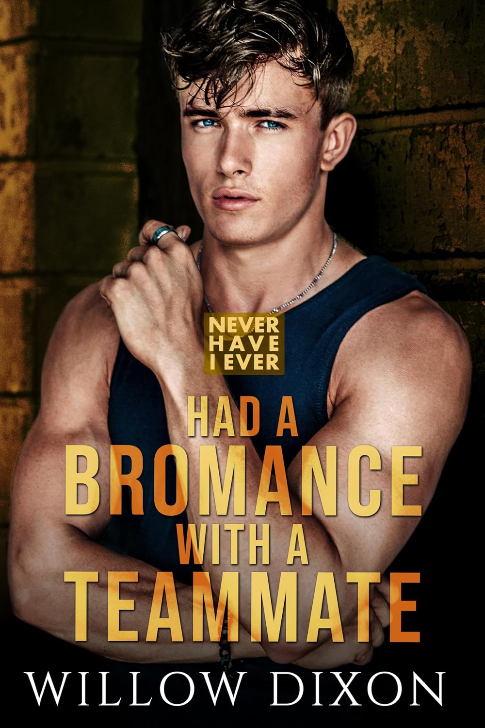 ler totalmente Never Have I Ever: Had a Bromance with a Teammate (English Edition)
