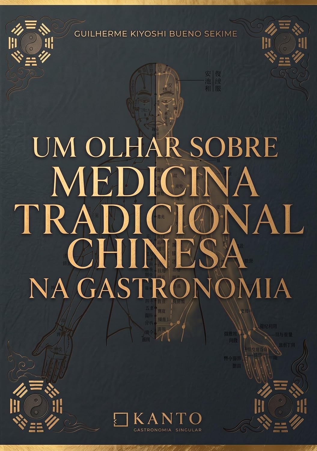 UM OLHAR SOBRE A MEDICINA TRADICIONAL CHINESA NA GASTRONOMIA baixar livro de graça