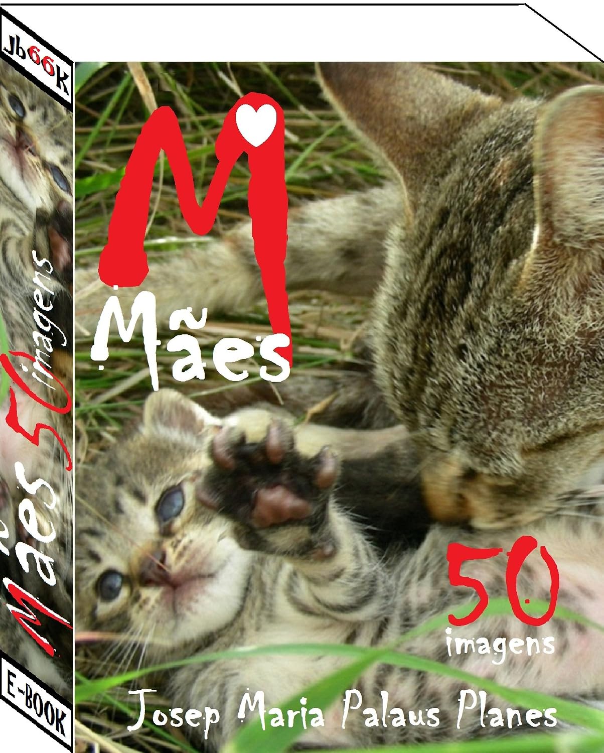 Mães (50 imagens) baixar o livro de graça
